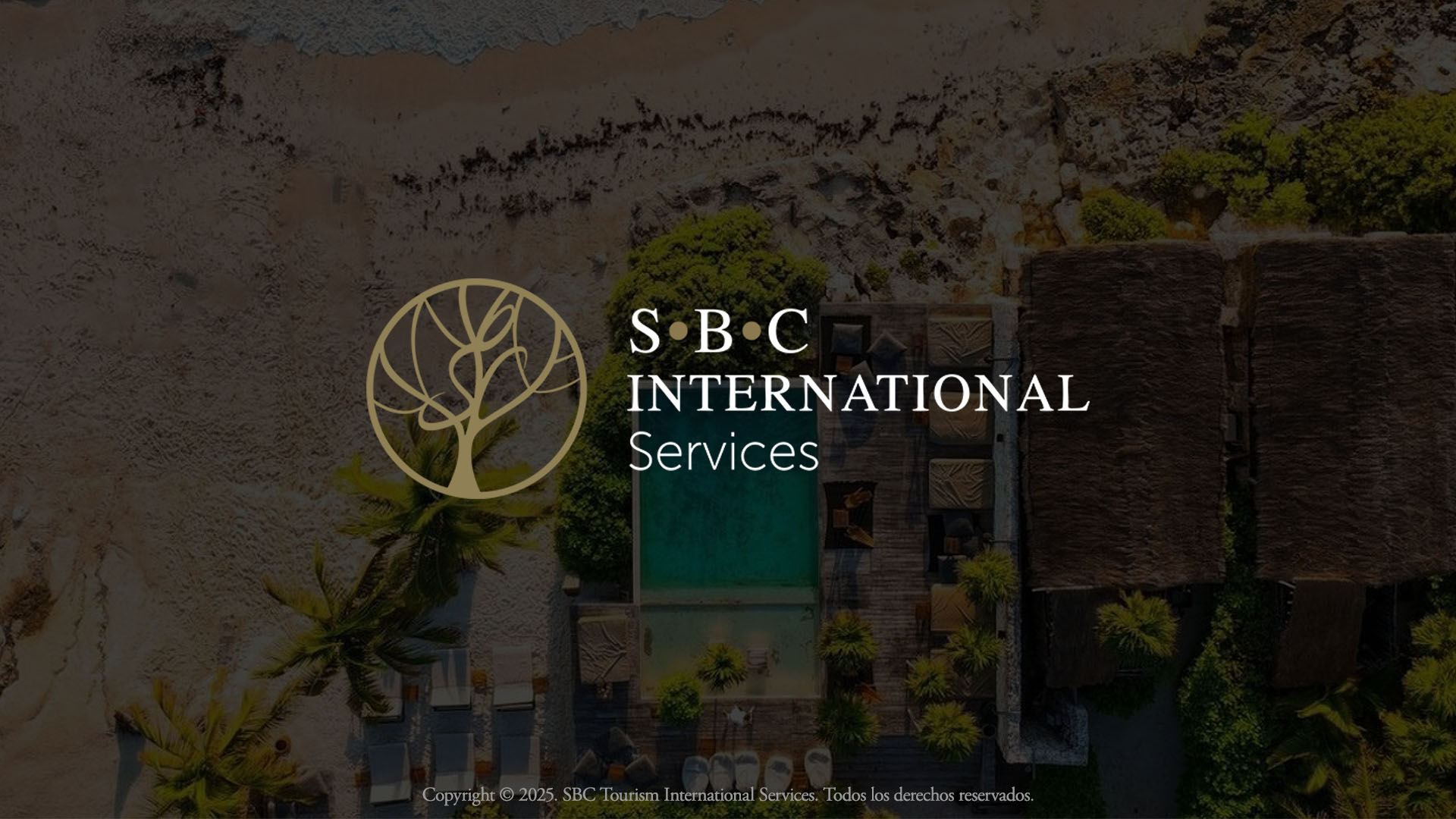 Representación DMCs o Receptivos